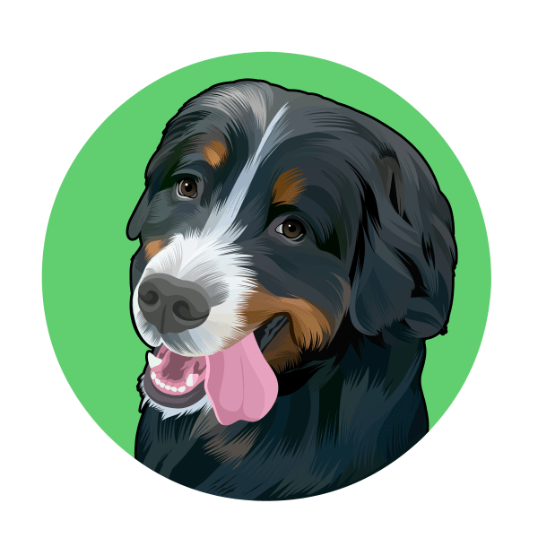 Kevin "The Bernese"